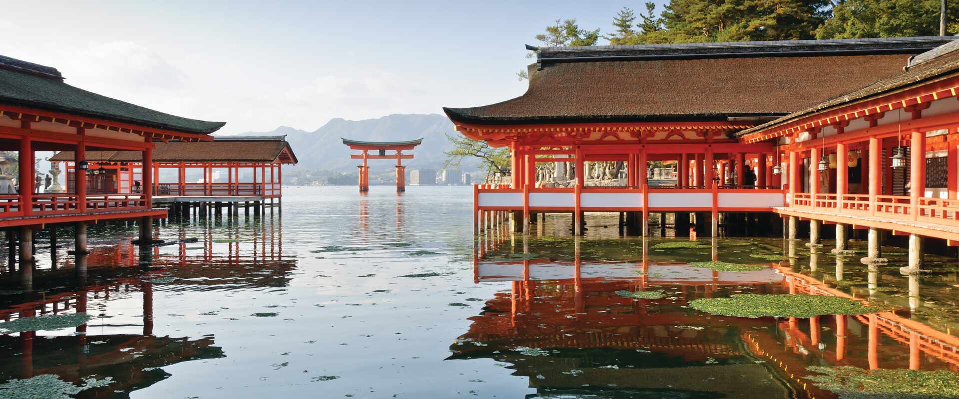 Itsukushima Shire and Torii Gate, Japan