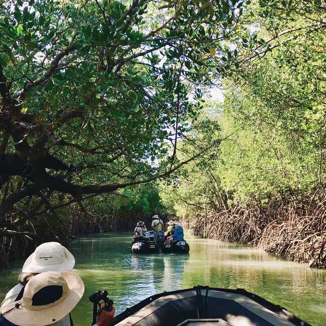 A group on small boats on the Arafura swamp, Arnhem land