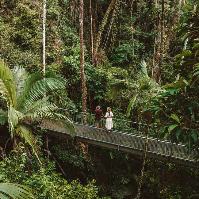 A couple standing on a metal bridge looking at the Daintree at the Discovery Centre