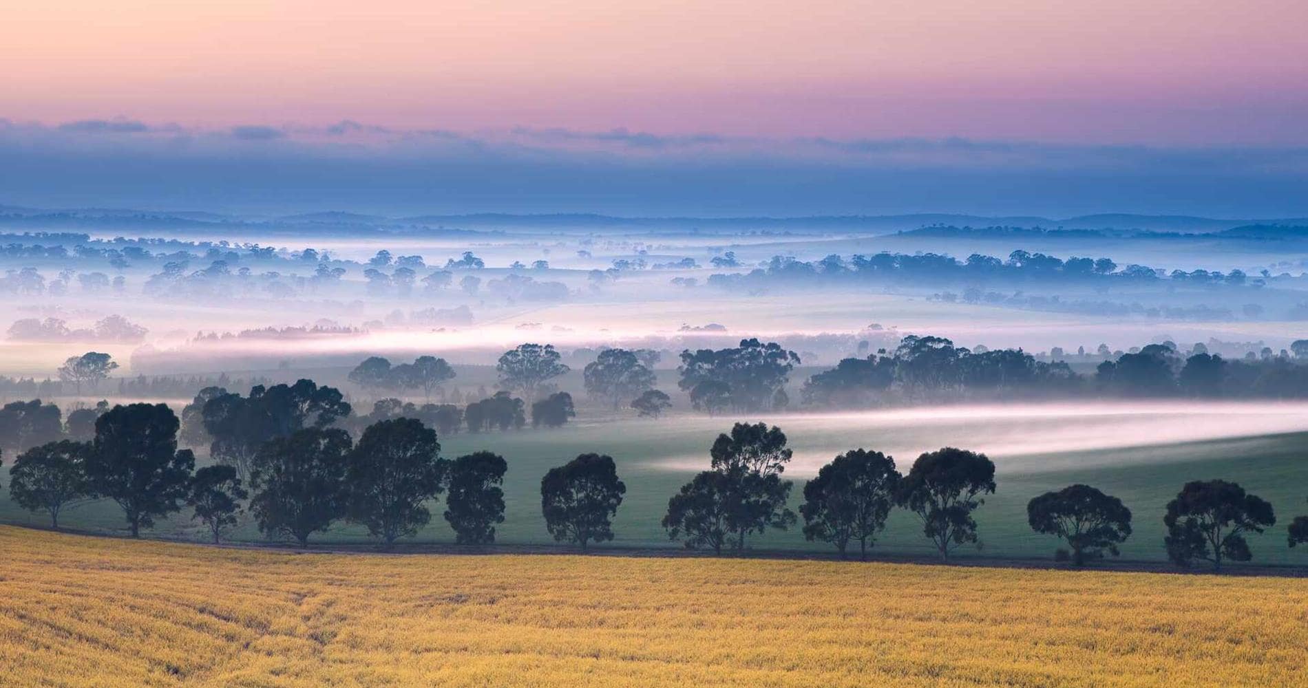 Morning mist across Clare Valley, South Australia
