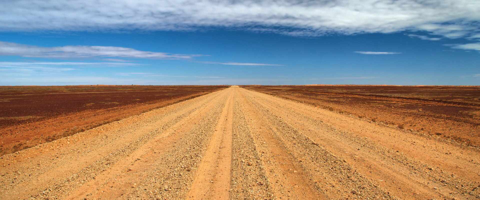 View of the Birdsville track into the distance, from ground level