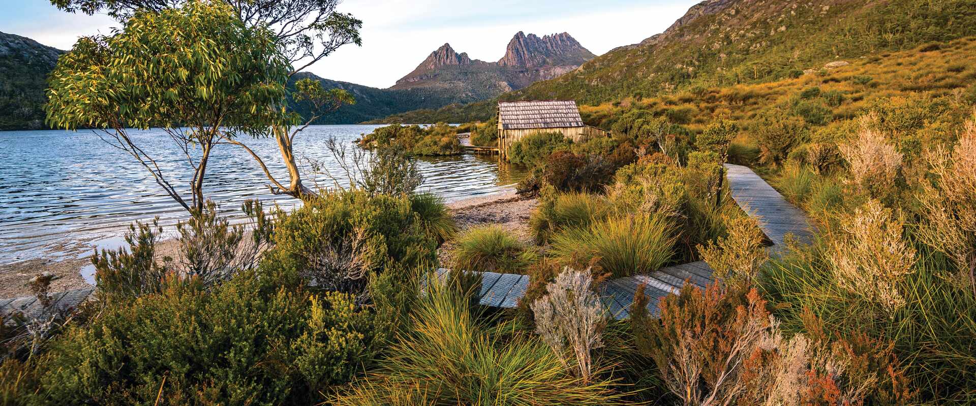 Natural wilderness surrounding Dove Lake in Tasmania with Cradle Mountain in the background