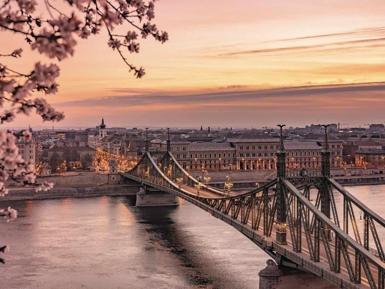 Liberty Bridge with Cherry Blossoms, Budapest, Hungary