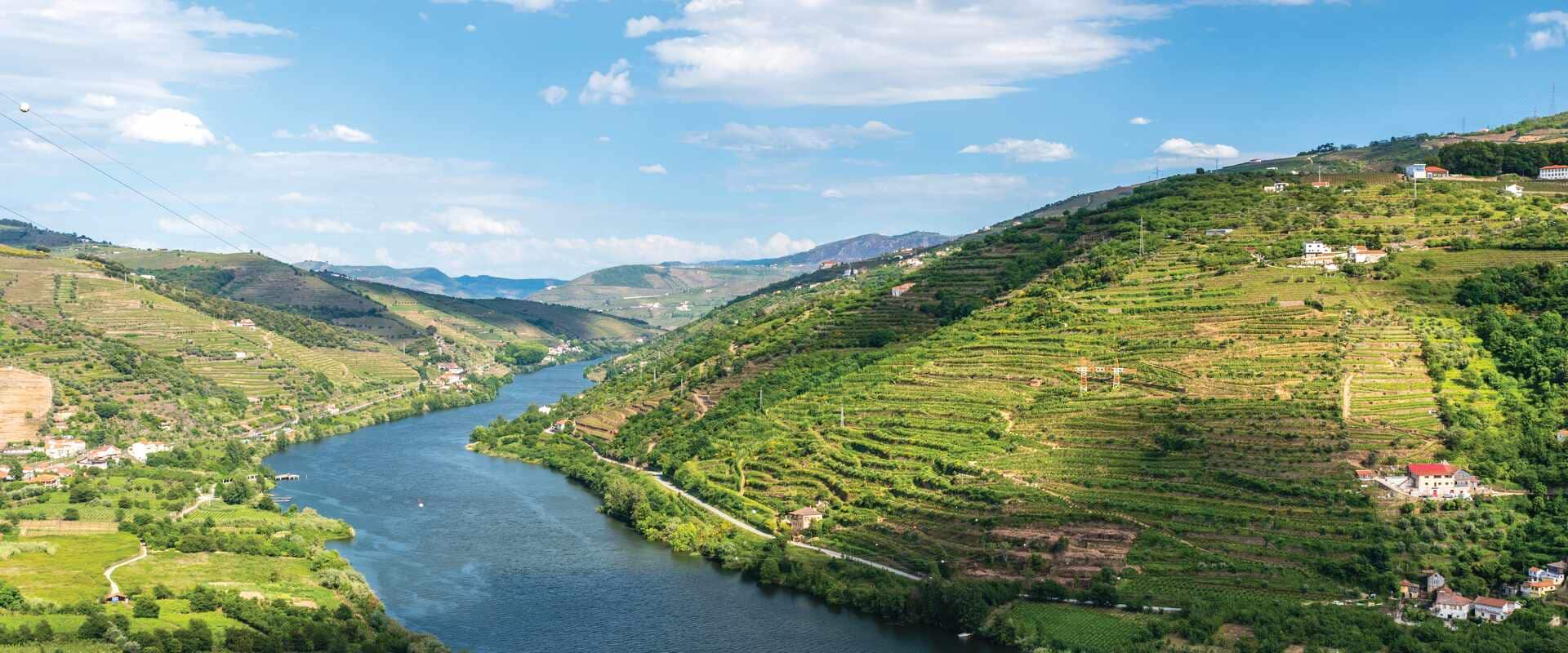 River snaking its way through the rolling hills covered in vineyards