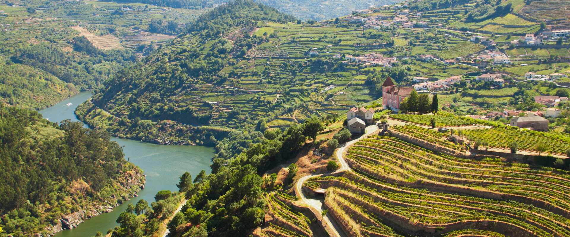 Sweeping views of the vineyards leading down to the Douro valley