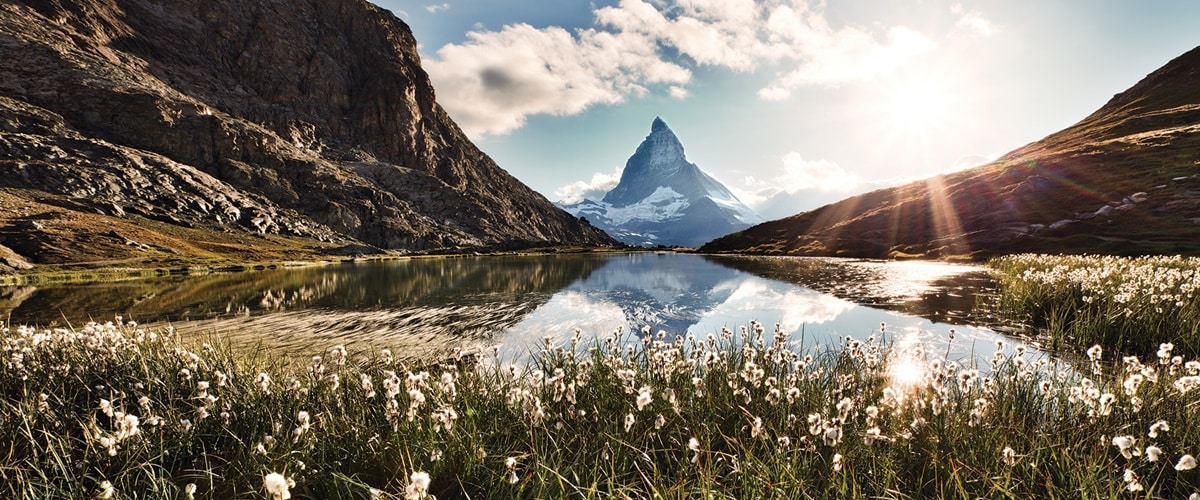 Mountain peak reflecting in the lake surrounded by wild flowers on a sunny day