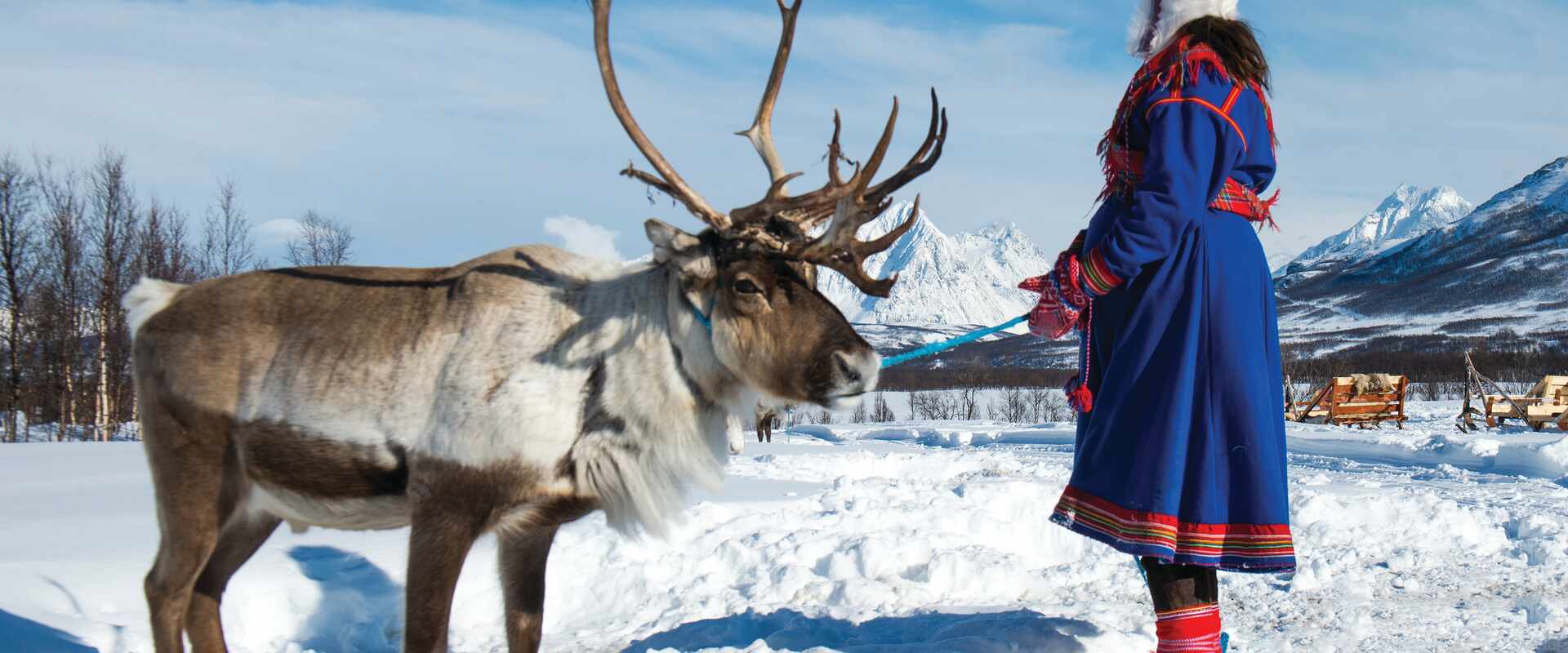 Sami Woman with Reindeer, Lapland Norway