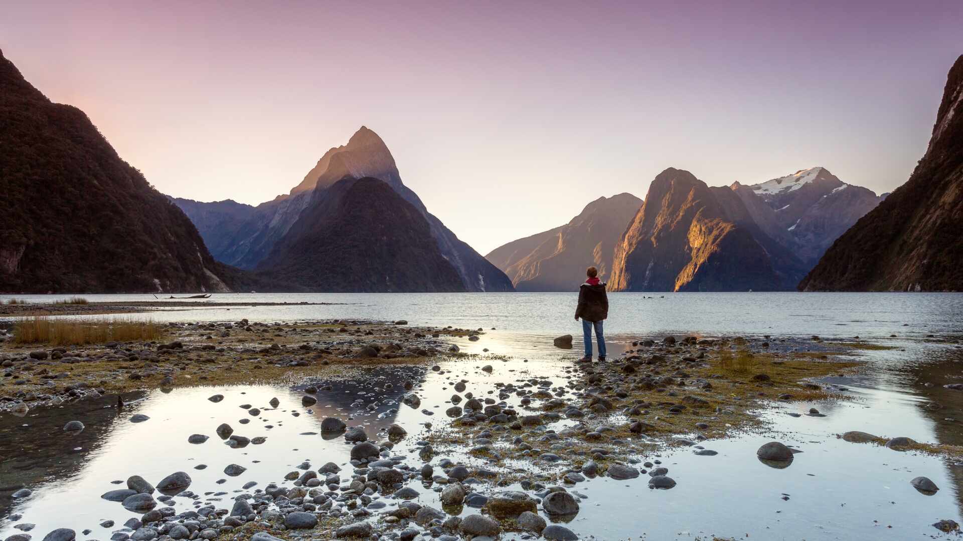 Person looking out into Milford Sound, South Island, New Zealand
