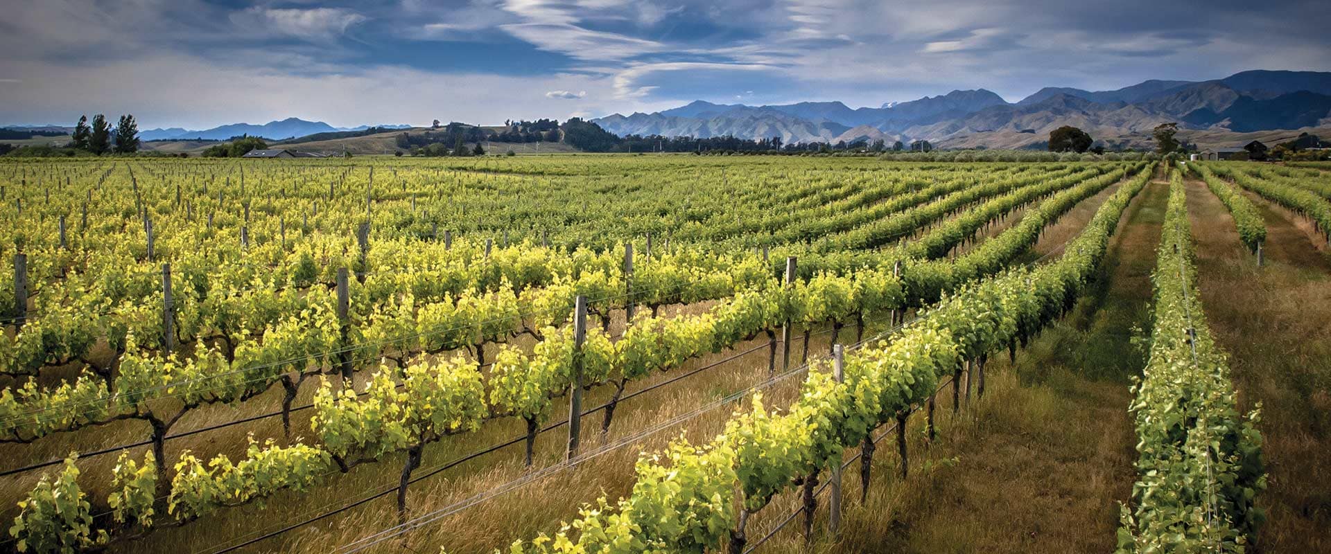 Explore premier food and wine growing regions.
