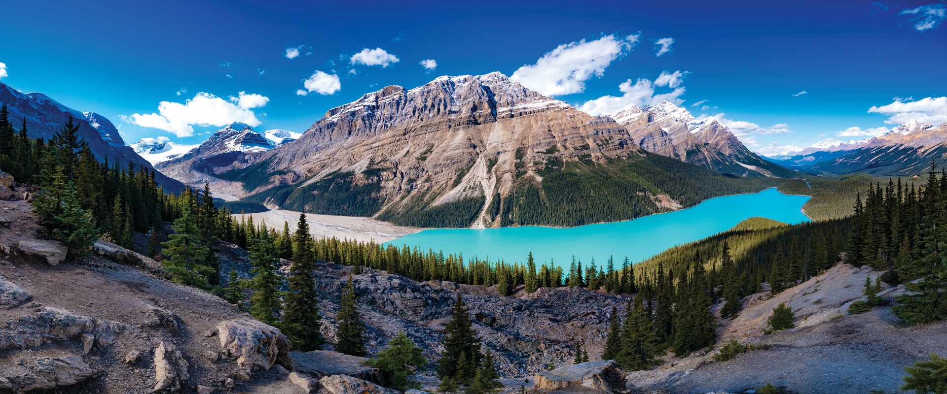 Lake Peyto with mountains in the background in Alberta, Canada