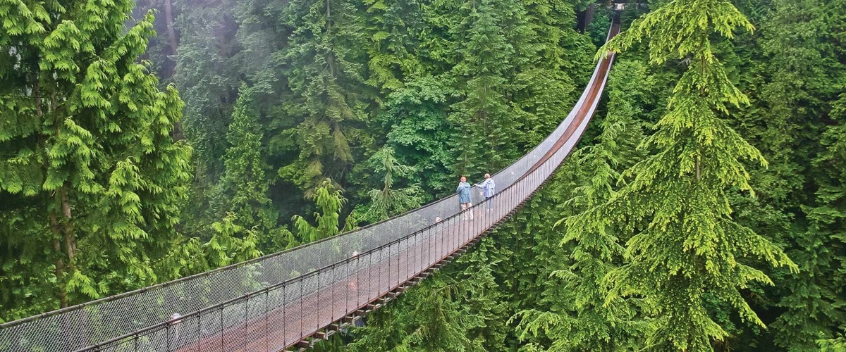 View of the Capilano Suspension Bridge amongst the trees, just outside Vancouver.