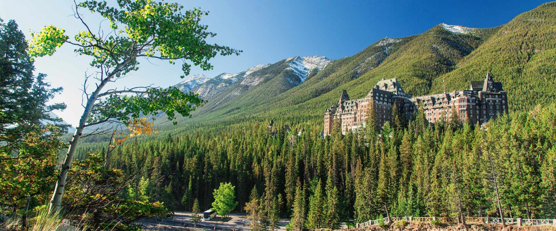 Fairmont springs surrounded by lush green hills and vegetation in Banff
