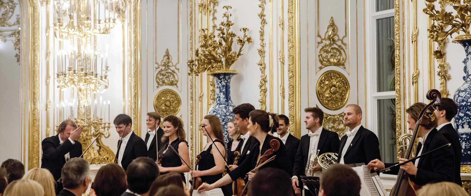 Audience watching muscians perform in the City Palace, Vienna