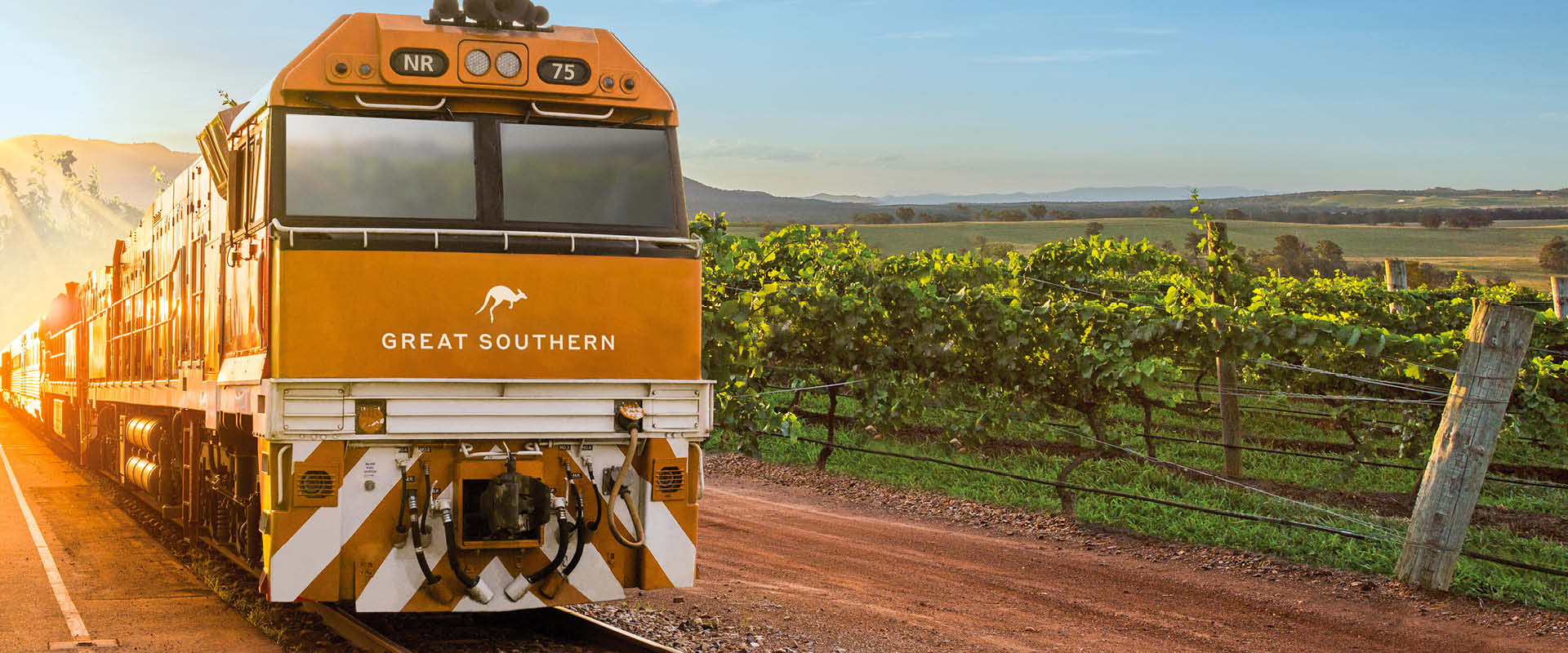 Front view of the Great Southern Rail travelling along side a vineyard