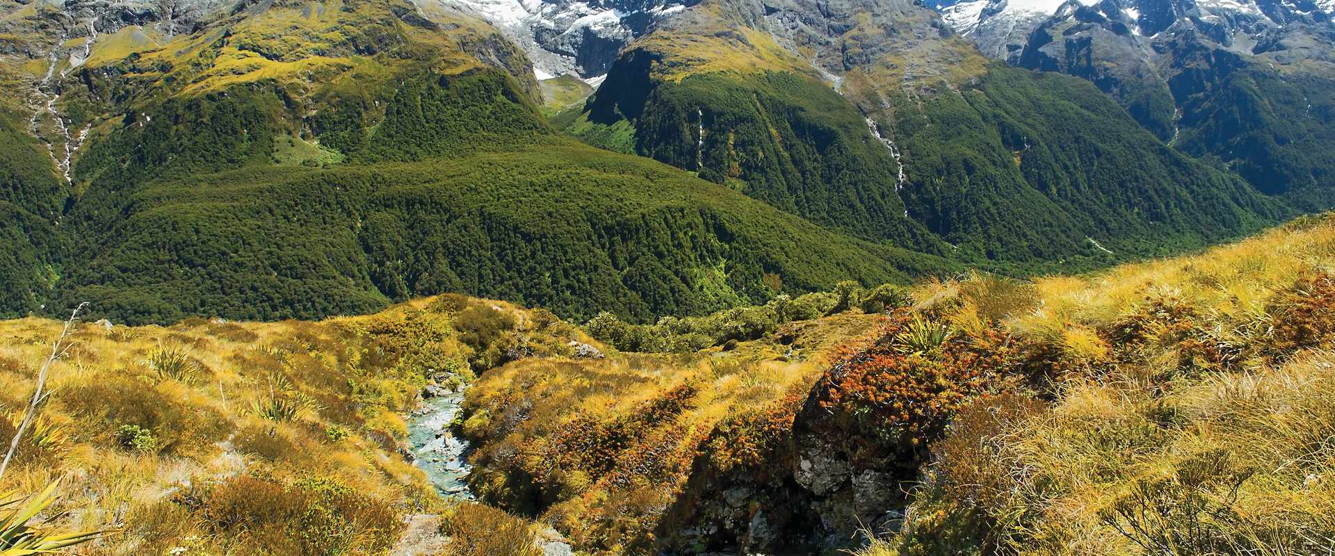 mountains up cloase in fiordland national park south island new zealand