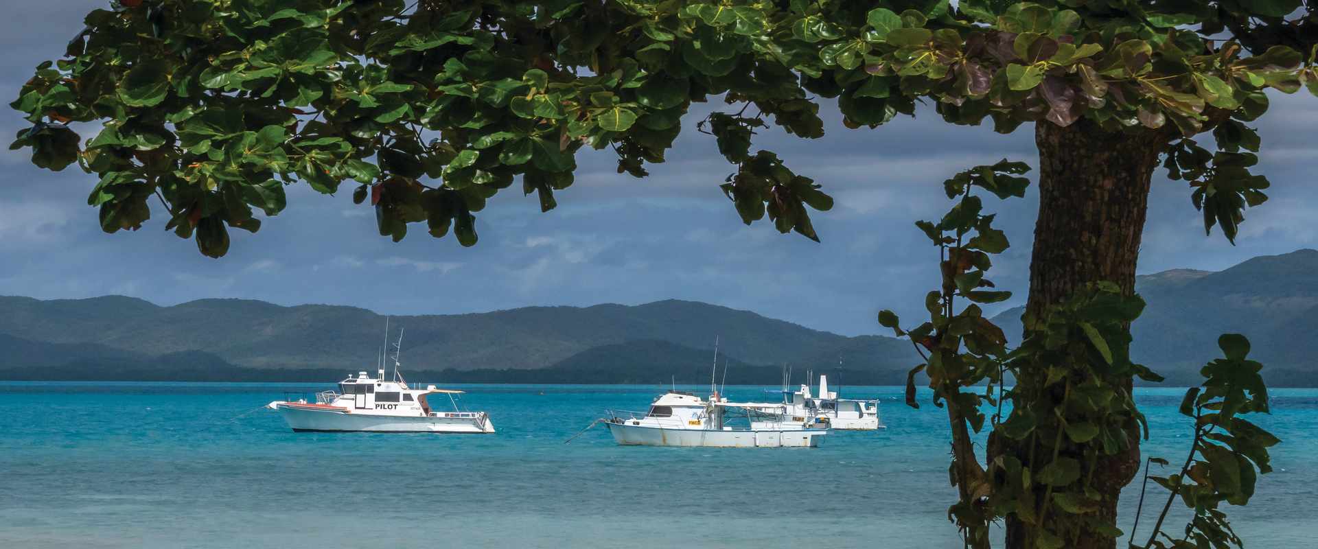 View of boats on the water through a tree on Thursday Island in North Queensland.