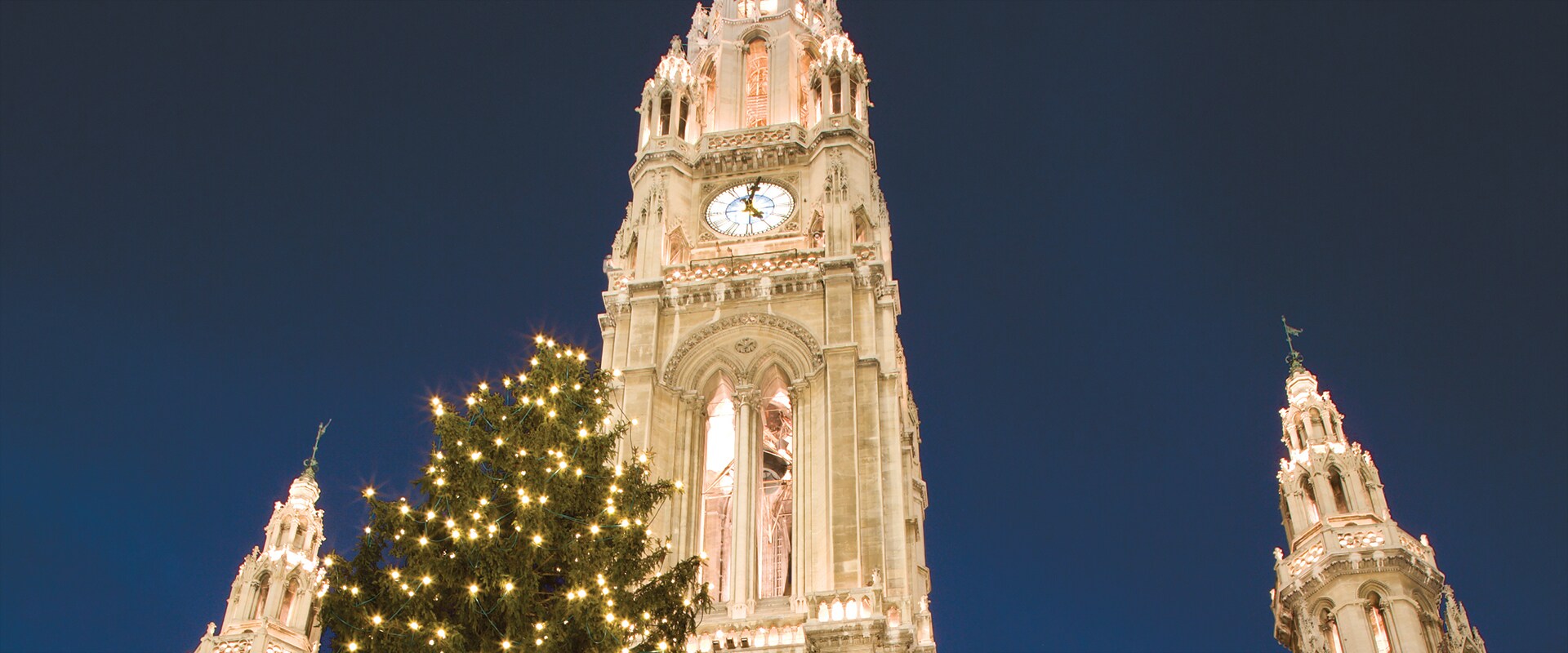Vienna Town Hall with Christmas tree at night.