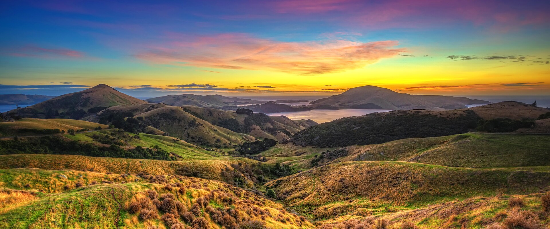 Choose to tour the beautiful Otago Peninsula with APT.