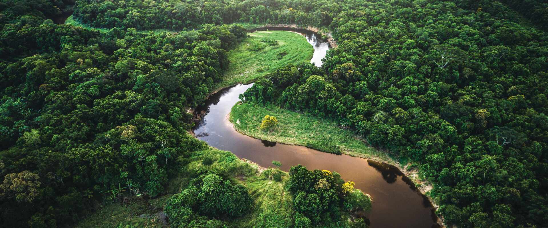 Aerial view over Amazon River winding through thick green rainforest in Brazil.