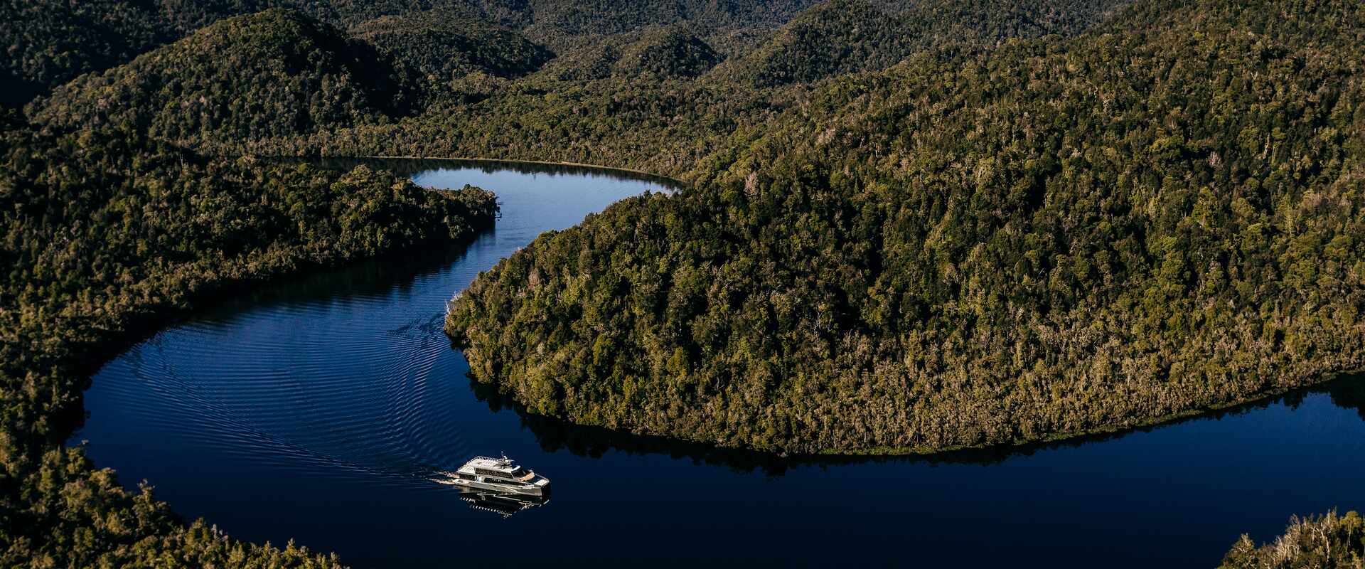 Aerial view of Gordon River with Cruise Ship
